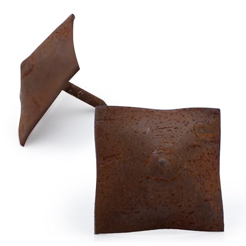 25-Pack Rustic Square Head Fasteners