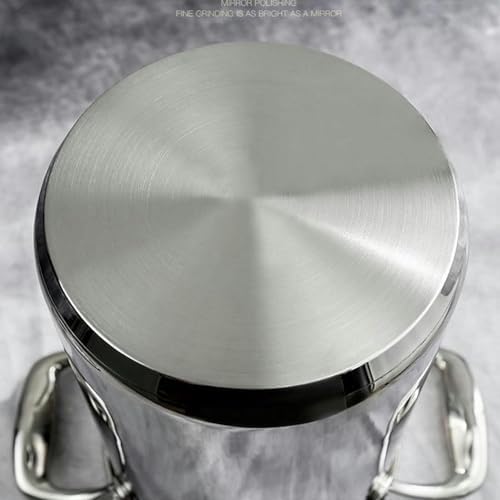 DAOUXIAOSP Stainless Steel Deep Fryer Pot with Basket for Home Cooking