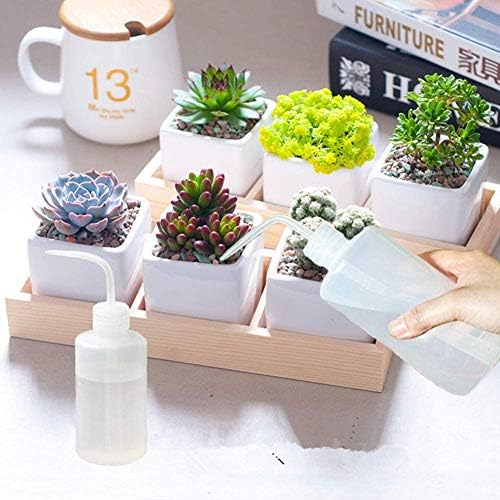 Clean and Easy 250ml Wash Bottle