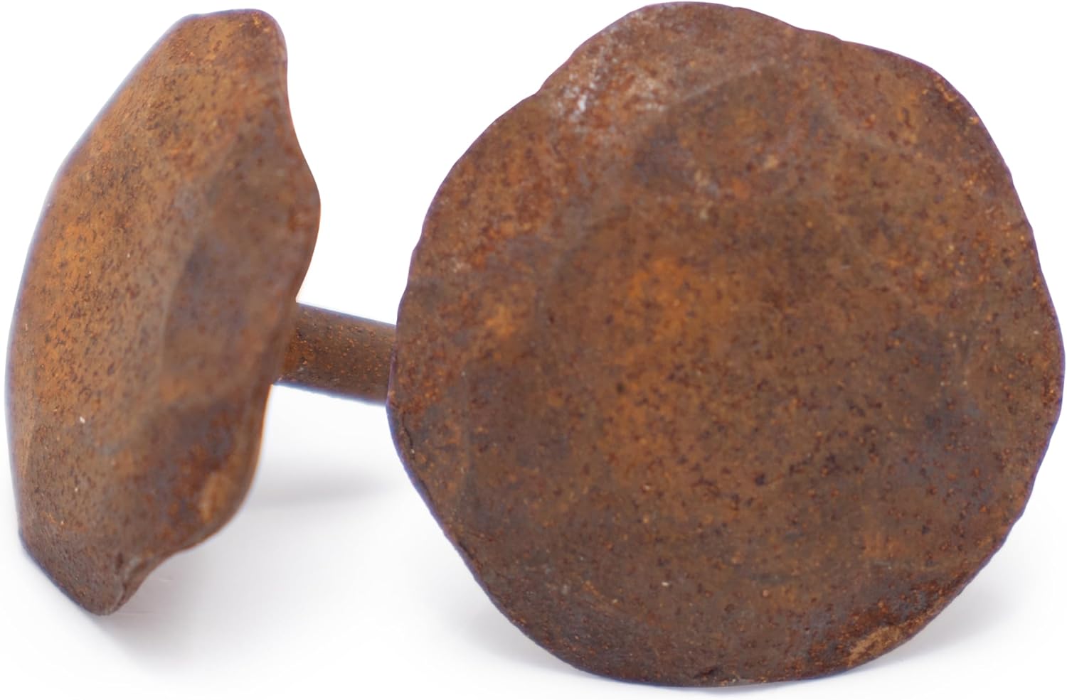Borderland Rustic Hardware100Pack Rustic Round Head Fasteners